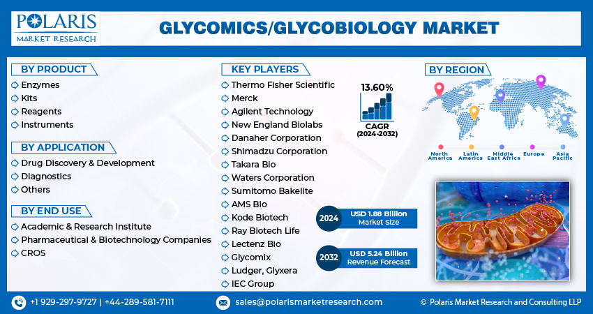 Glycomics/Glycobiology